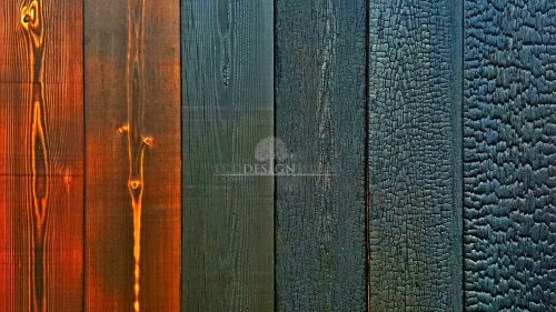 Charred wood siding